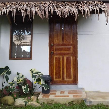 Ziah'S Guest House San Vicente (Palawan) Exterior foto