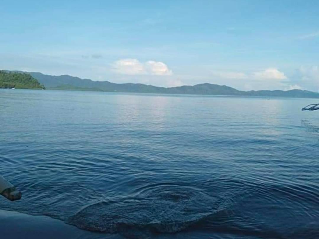 Ziah'S Guest House San Vicente (Palawan) Exterior foto