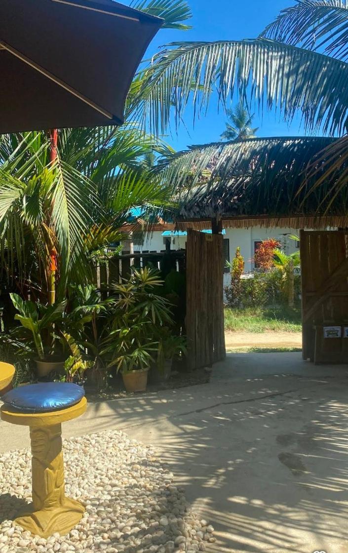 Ziah'S Guest House San Vicente (Palawan) Exterior foto